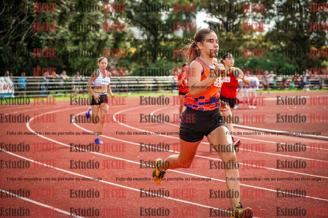 Fotos de los 800 m llanos de mujeres