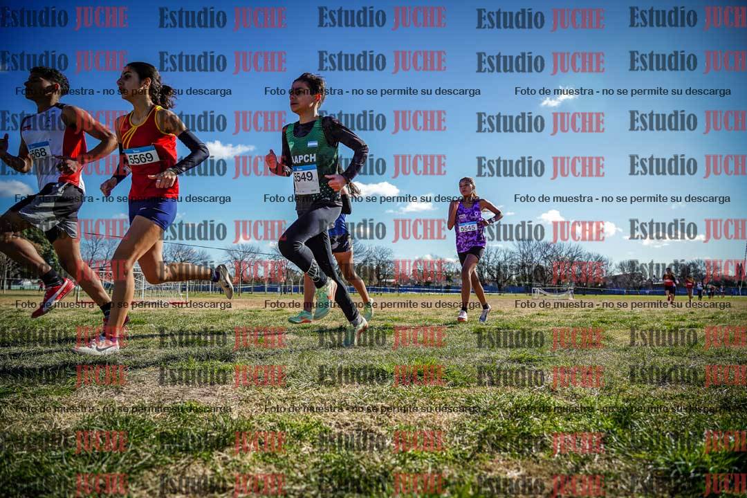 Fotos en el circuito