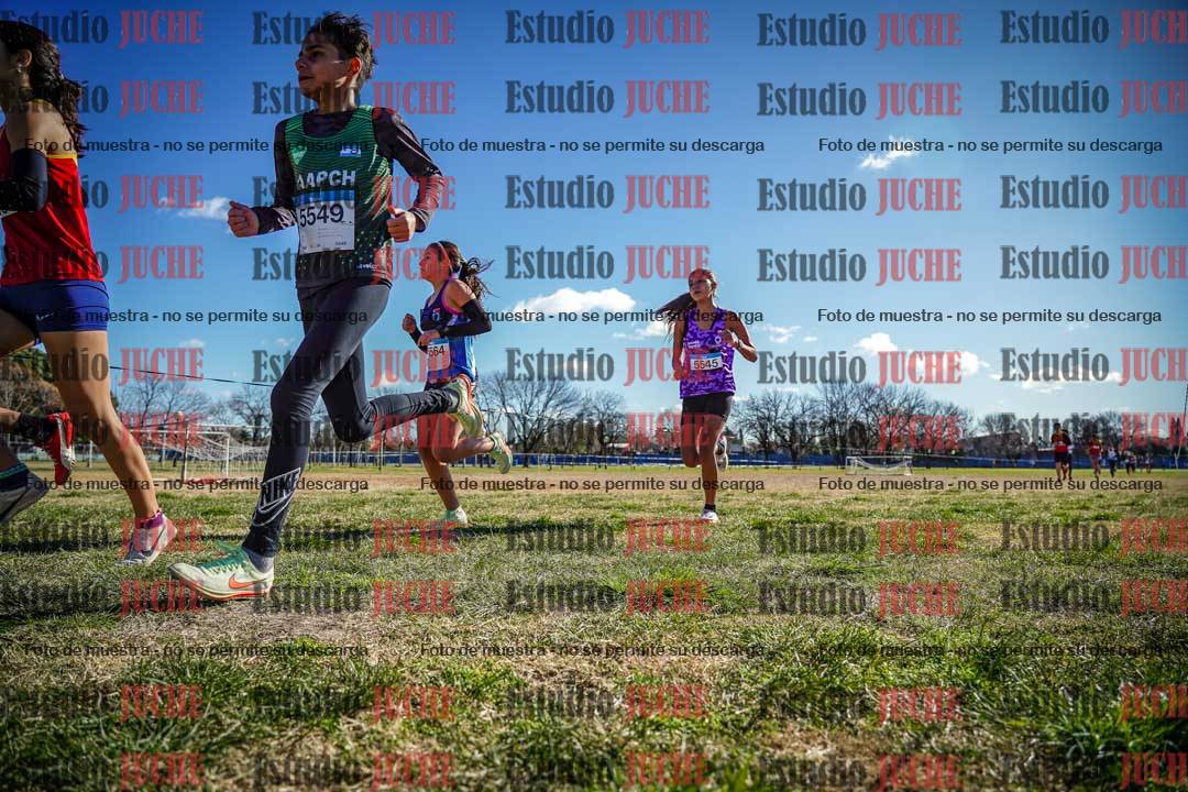 Fotos en el circuito