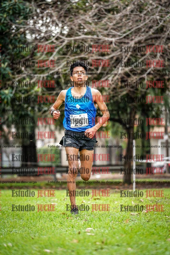 Fotos en el circuito