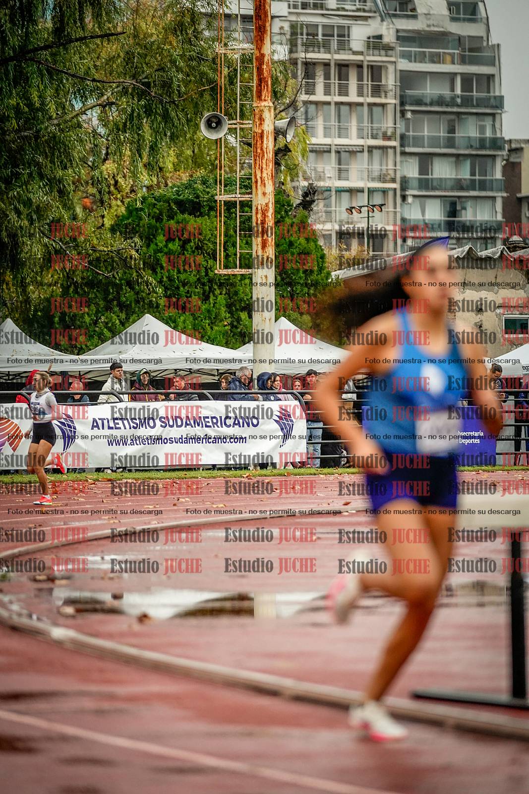 Fotos de los 1500 m llanos de mujeres
