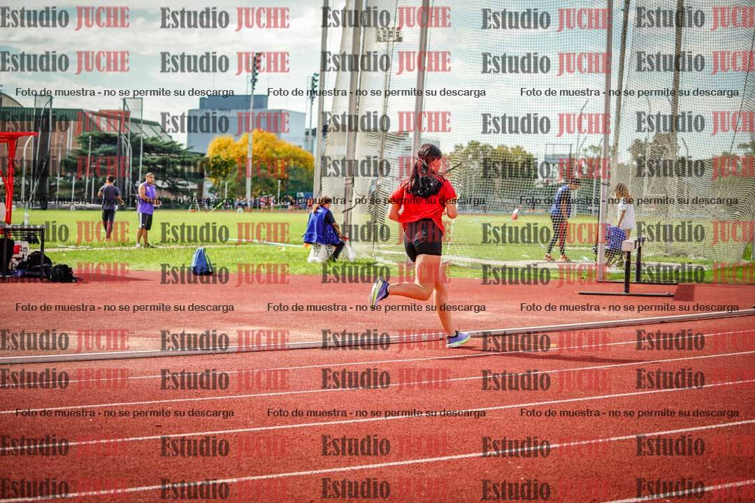 Fotos de los 800 m llanos de mujeres