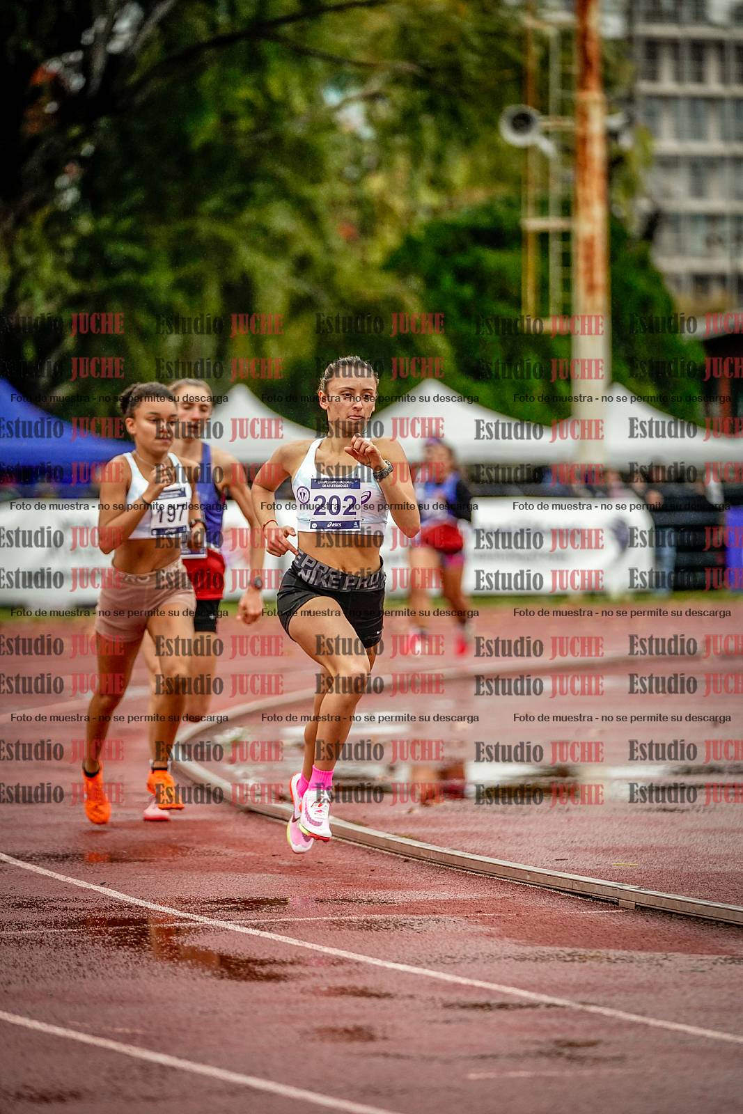 Fotos de los 1500 m llanos de mujeres