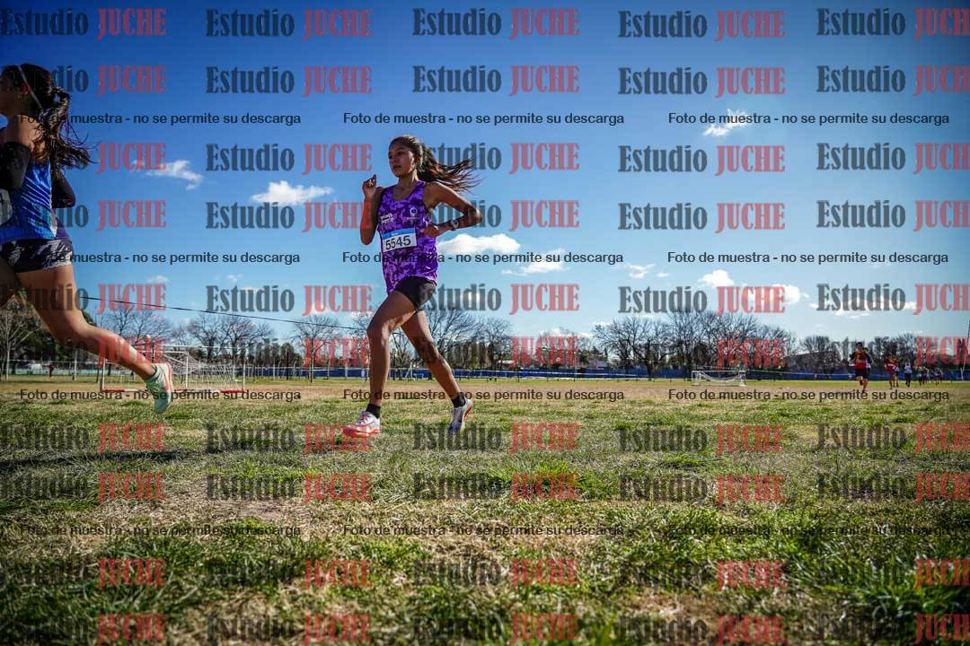 Fotos en el circuito
