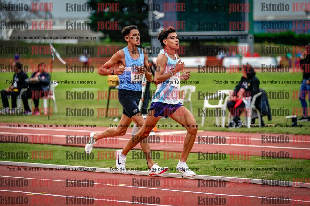 Fotos de los 10.000 m llanos de varones