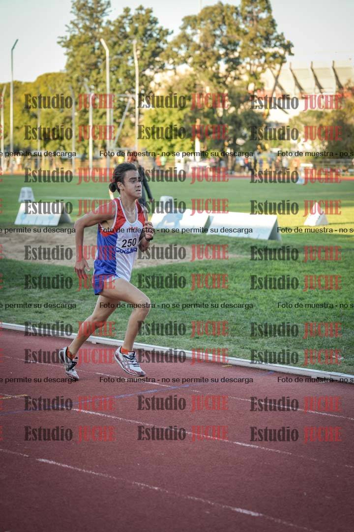 Fotos de los 3000 m llanos de varones