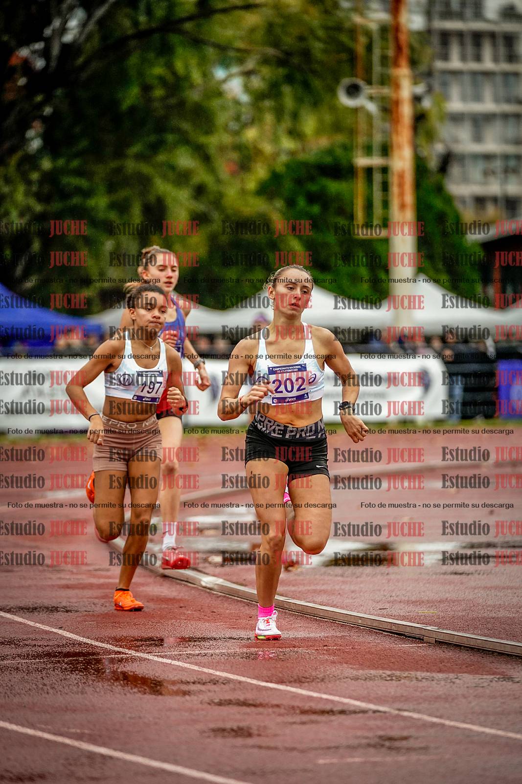 Fotos de los 1500 m llanos de mujeres