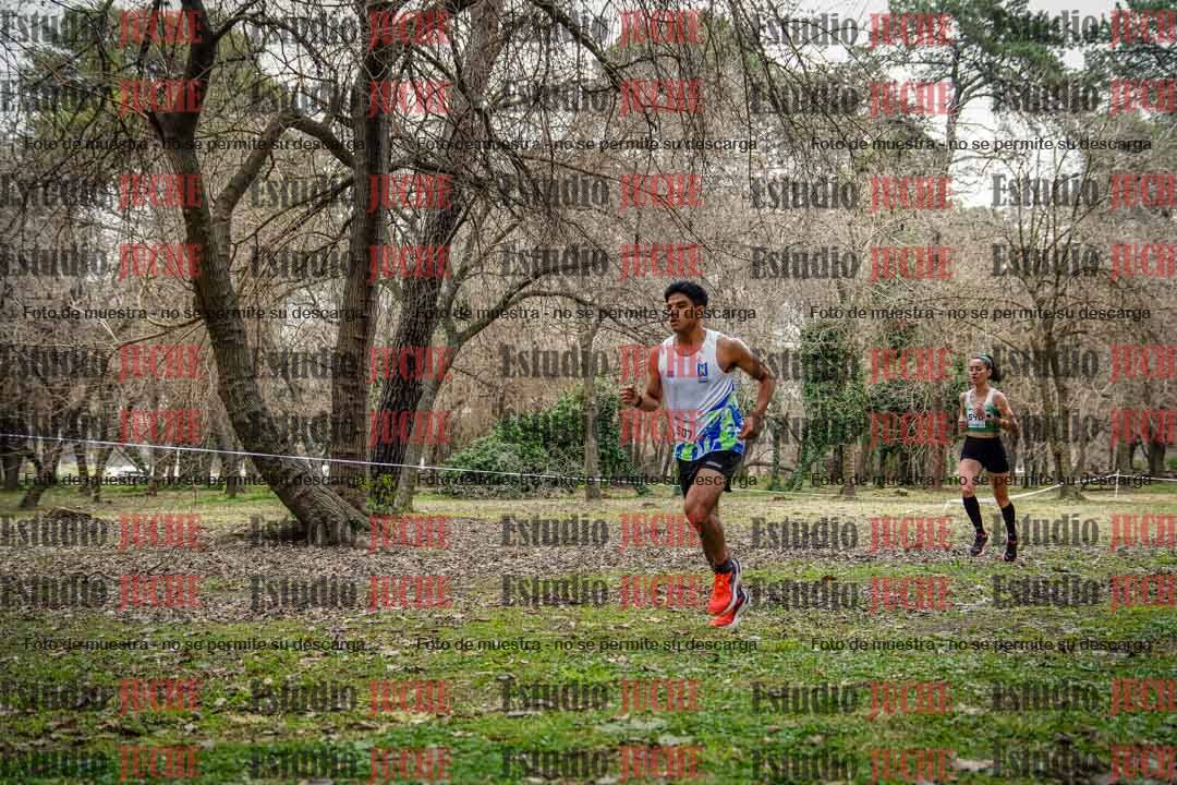 Fotos en el circuito