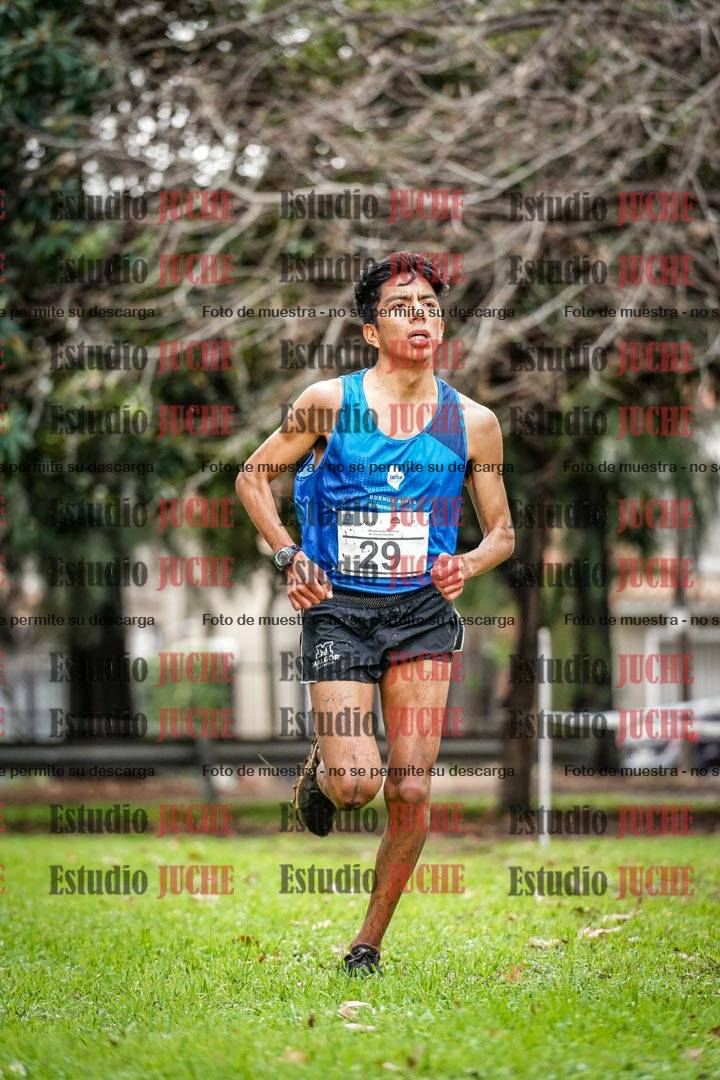 Fotos en el circuito