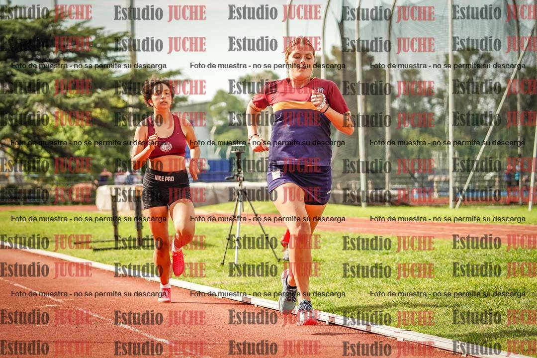 Fotos de los 800 m llanos de mujeres - hepta 7