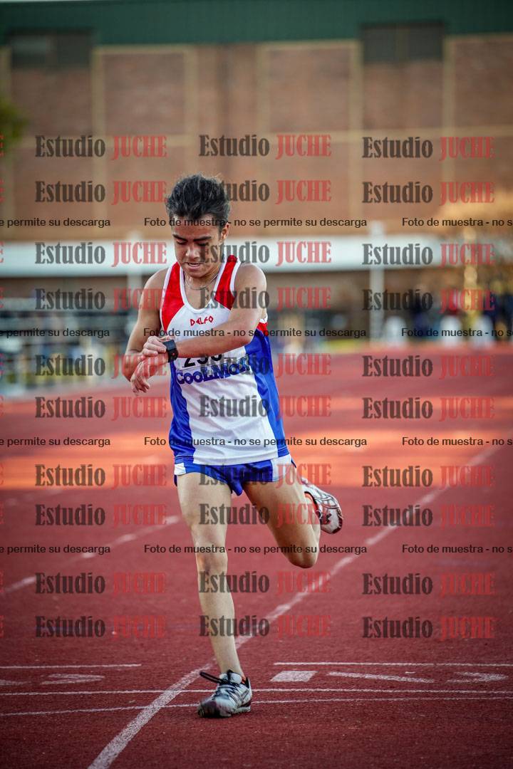 Fotos de los 3000 m llanos de varones