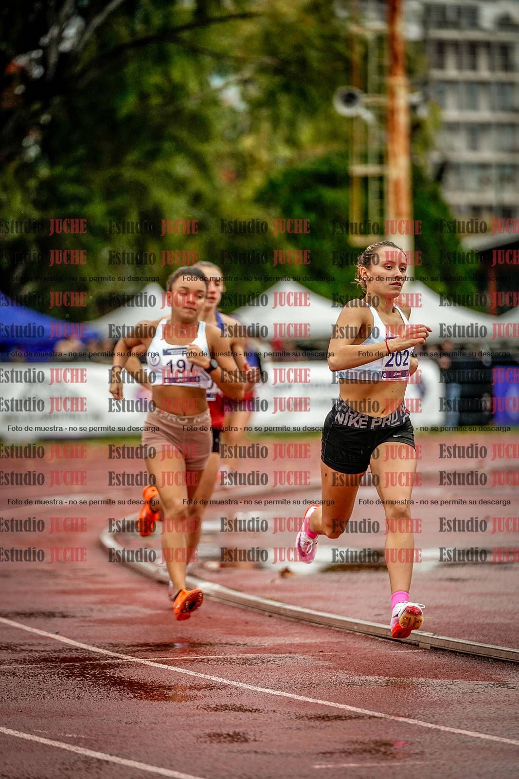 Fotos de los 1500 m llanos de mujeres