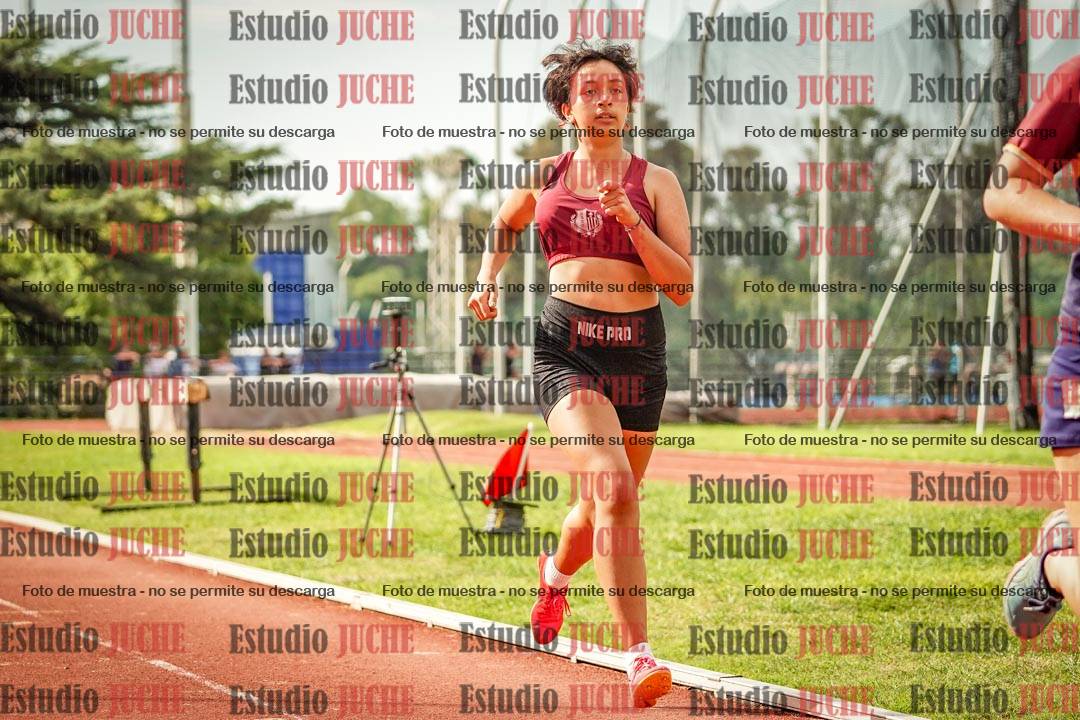 Fotos de los 800 m llanos de mujeres - hepta 7