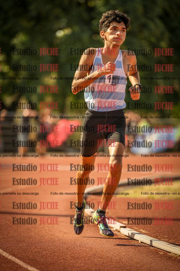 Fotos de los 800 m llanos de varones