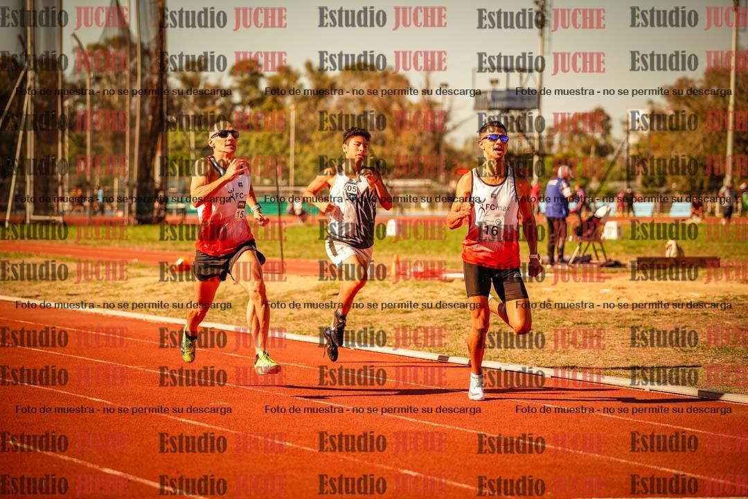 Fotos de los 800 m llanos de varones