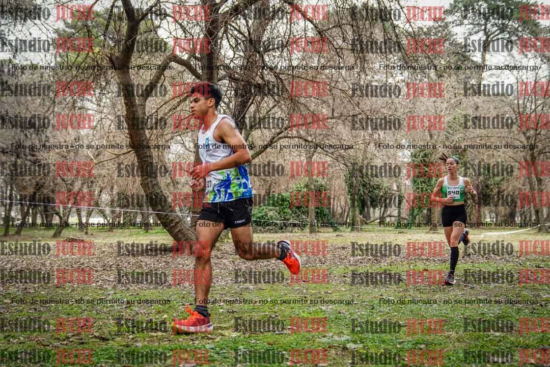 Fotos en el circuito