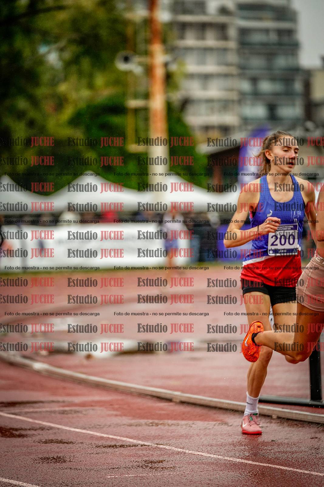 Fotos de los 1500 m llanos de mujeres