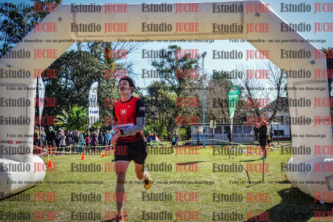 Fotos de la llegada del cross de 8000 m