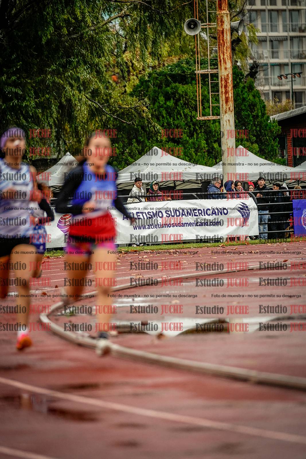 Fotos de los 1500 m llanos de mujeres