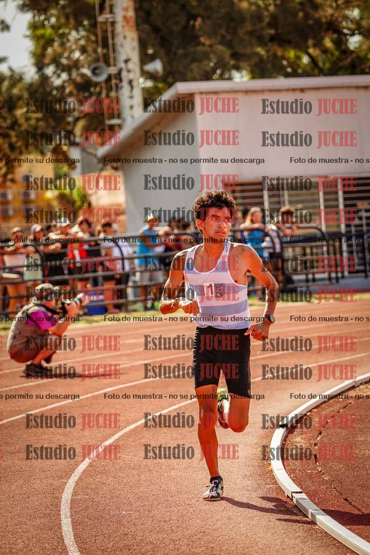 Fotos de los 800 m llanos de varones