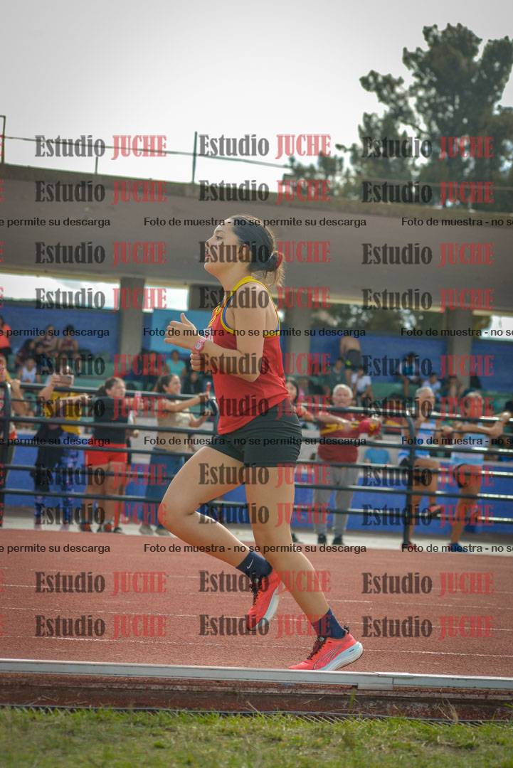 Fotos de los 800 m llanos de mujeres