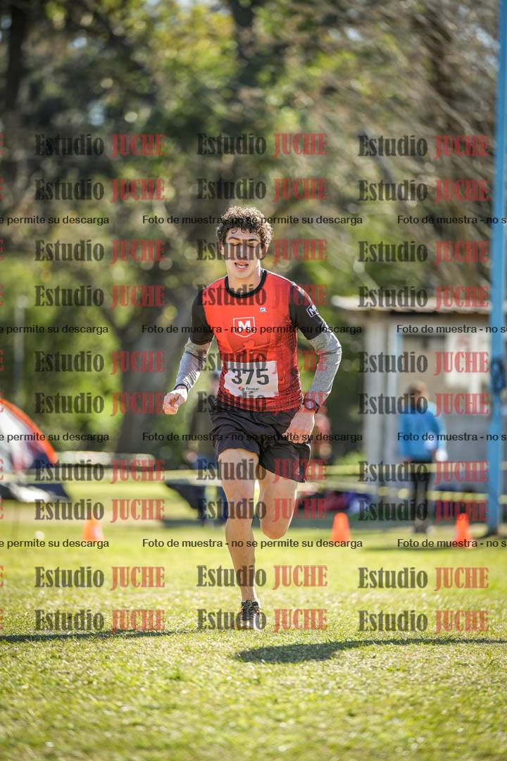 Fotos de la llegada del cross de 8000 m