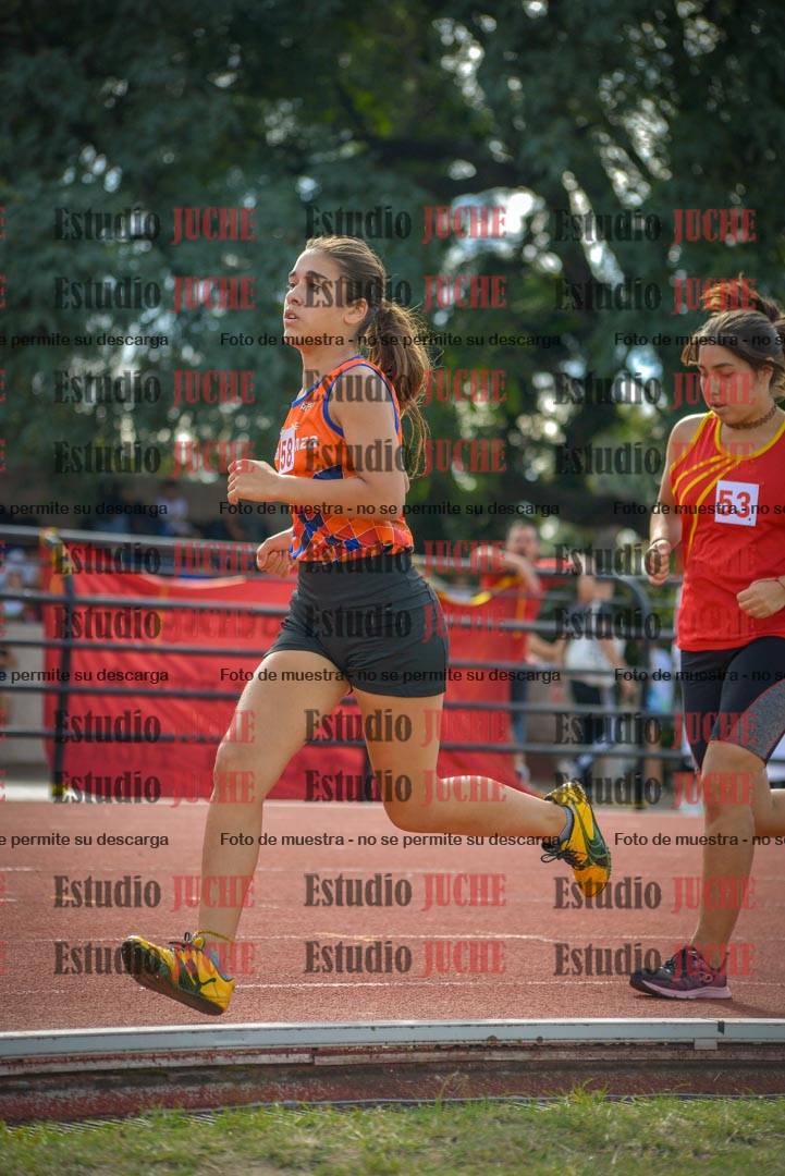 Fotos de los 800 m llanos de mujeres