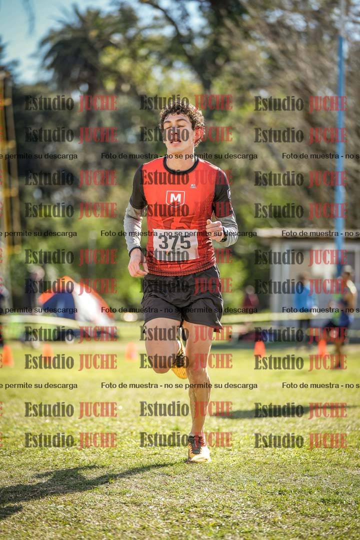 Fotos de la llegada del cross de 8000 m