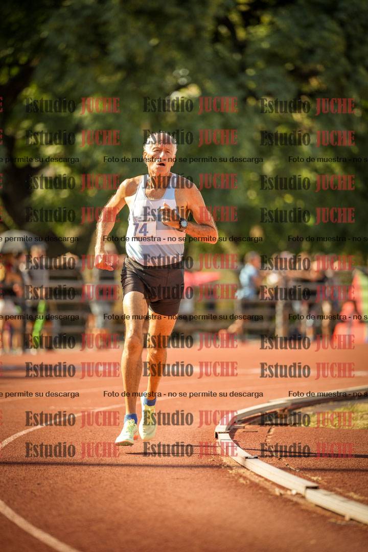 Fotos de los 800 m llanos de varones