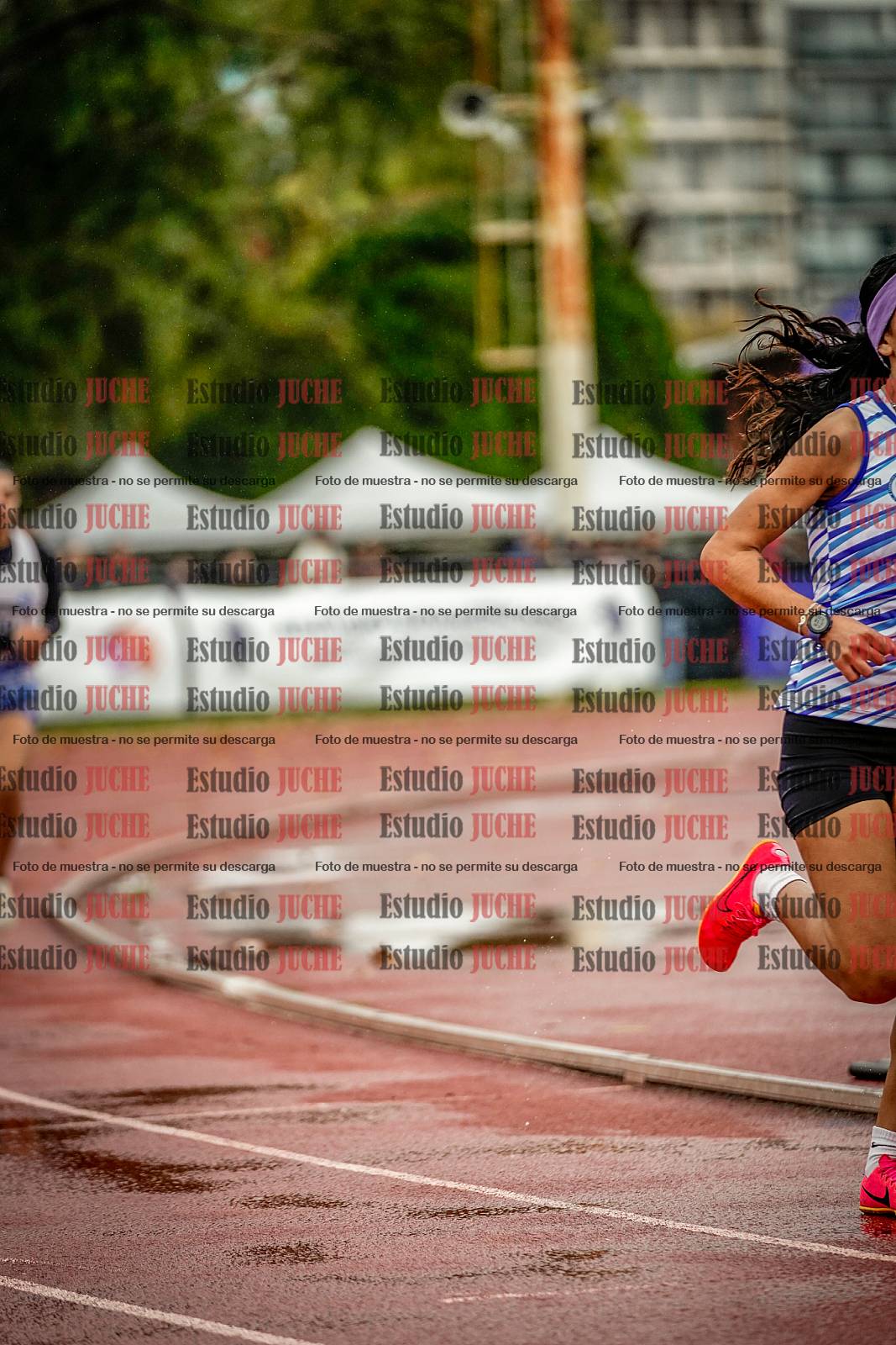 Fotos de los 1500 m llanos de mujeres