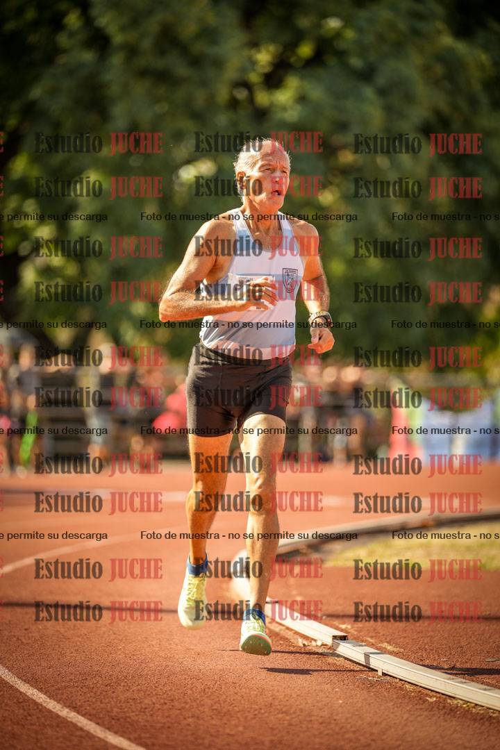 Fotos de los 800 m llanos de varones