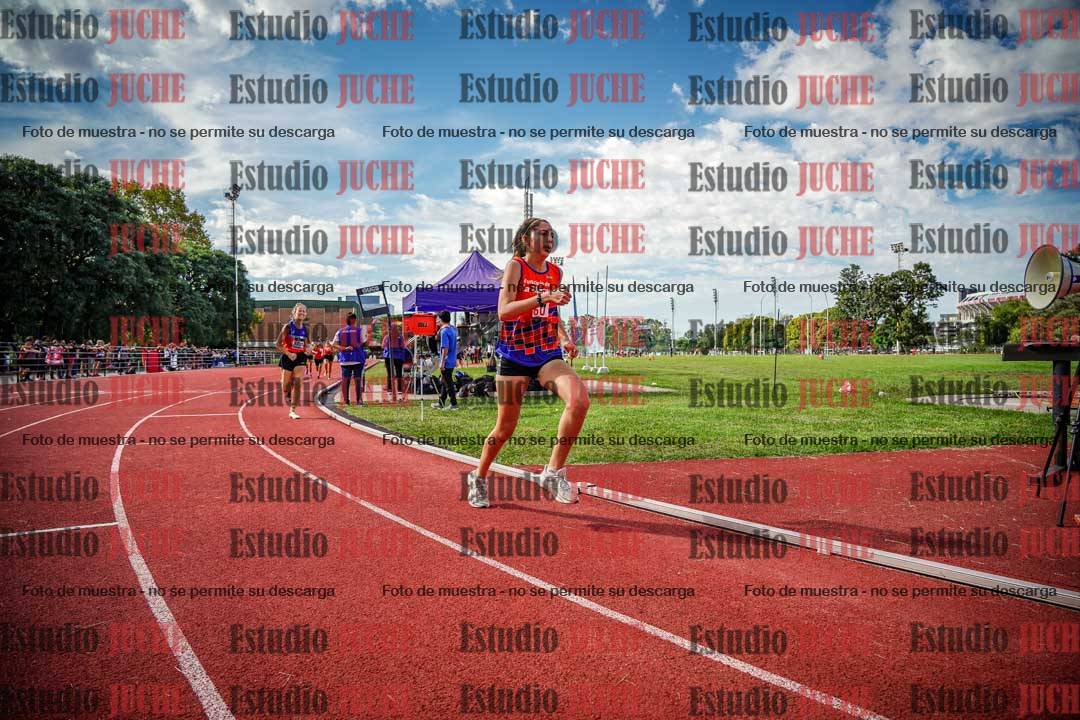 Fotos de los 800 m llanos de mujeres