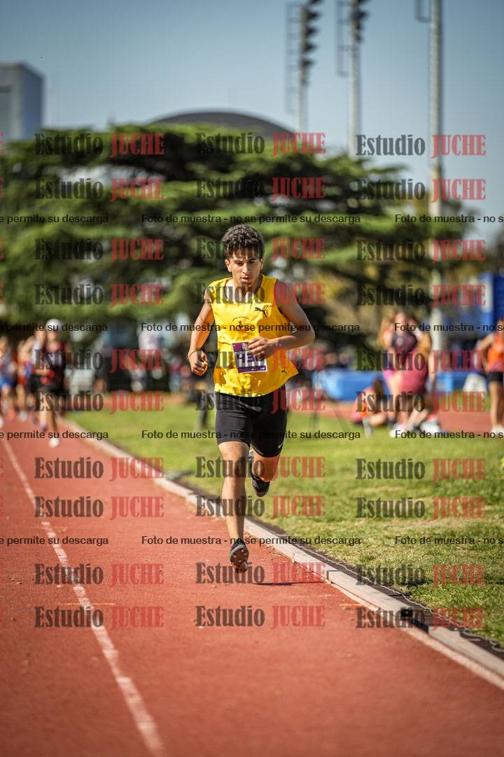 Fotos de los 600 m llanos de varones