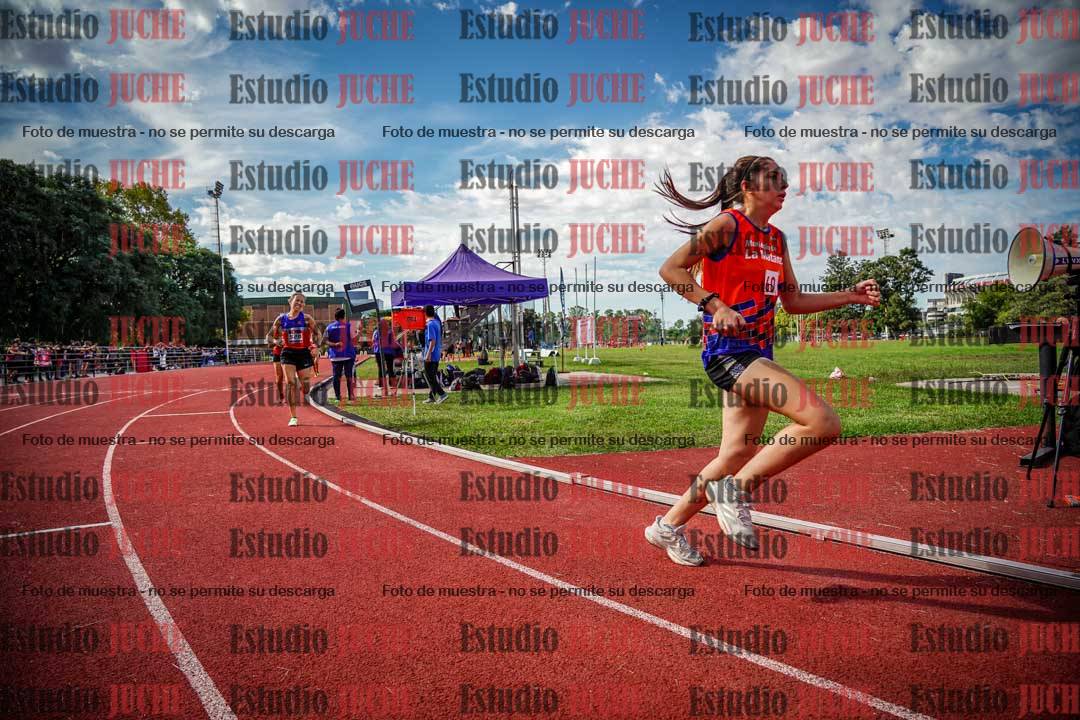Fotos de los 800 m llanos de mujeres