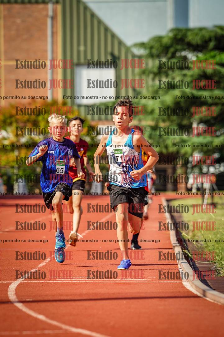 Fotos de los 1000 m llanos de varones