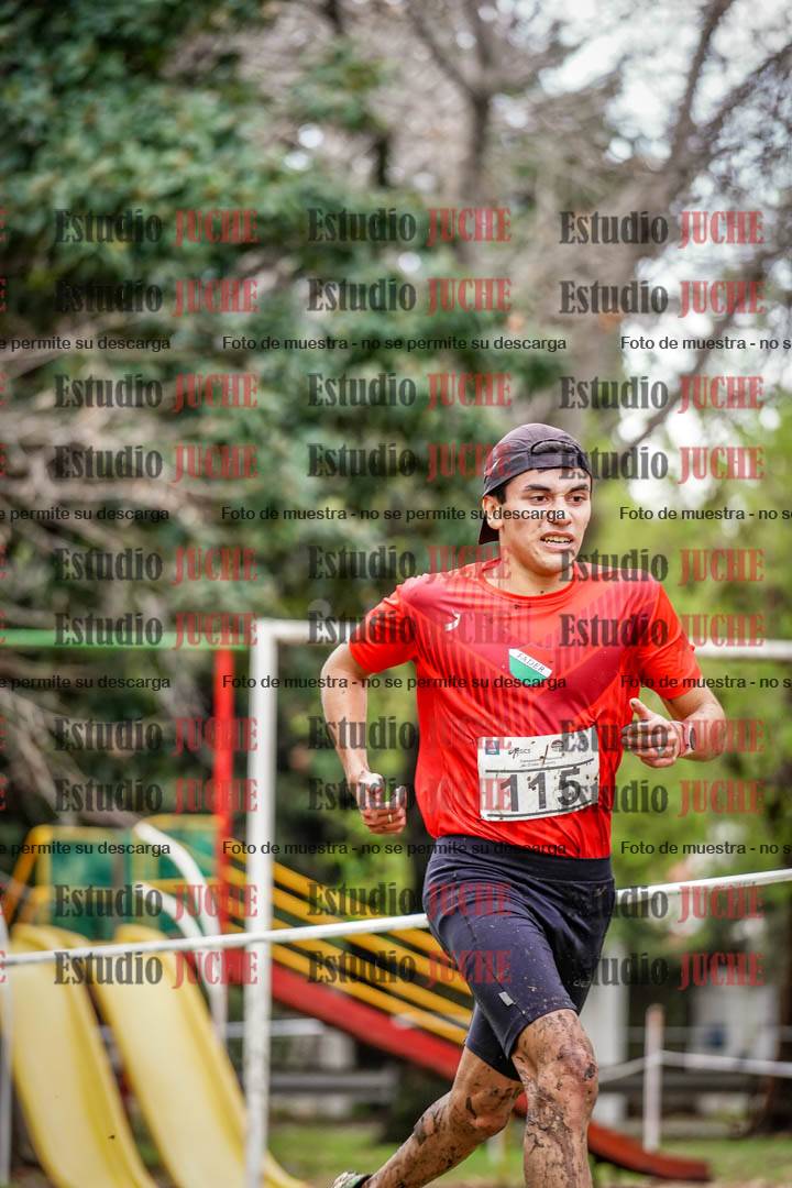 Fotos en el circuito