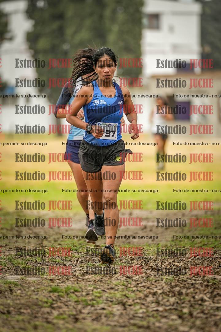 Fotos en el circuito