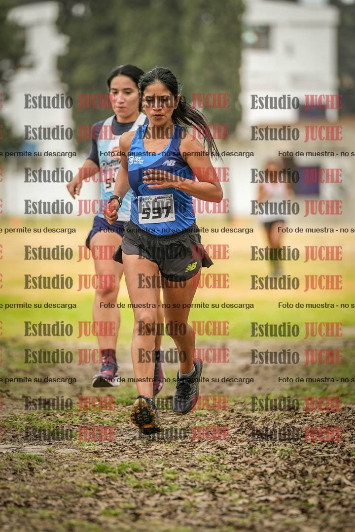 Fotos en el circuito