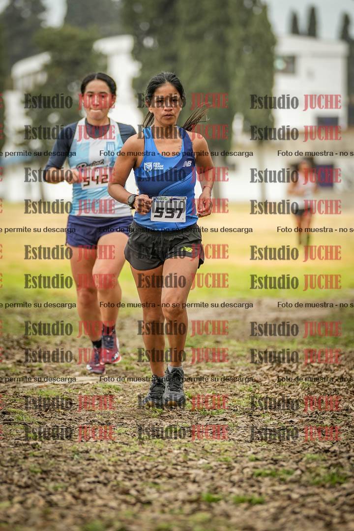 Fotos en el circuito