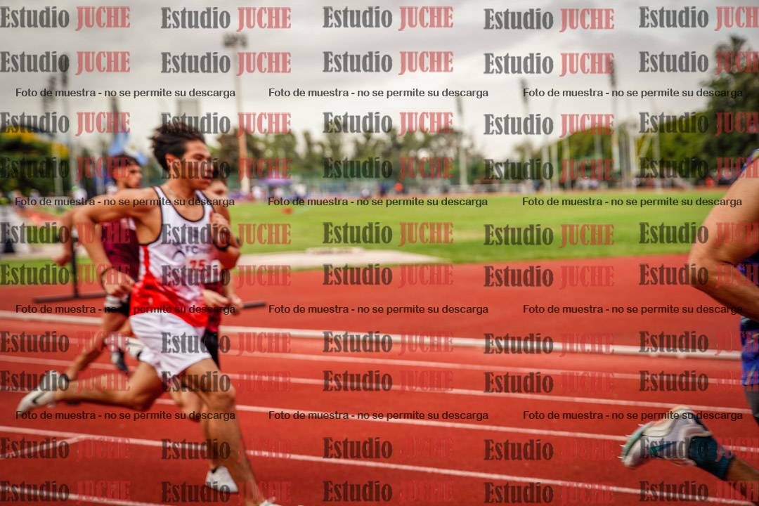 Fotos de los 800 m de varones