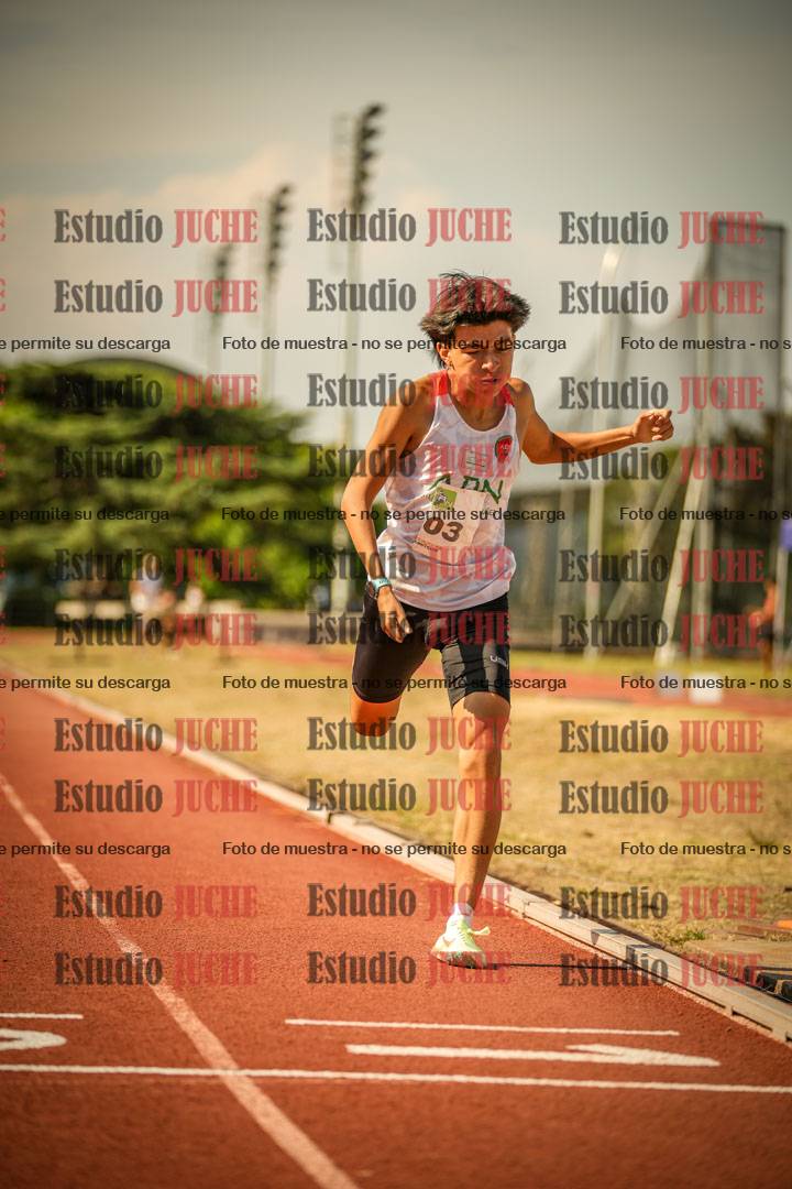 Fotos de los 800 m llanos de varones