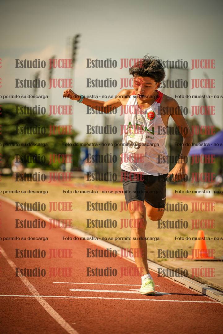 Fotos de los 800 m llanos de varones