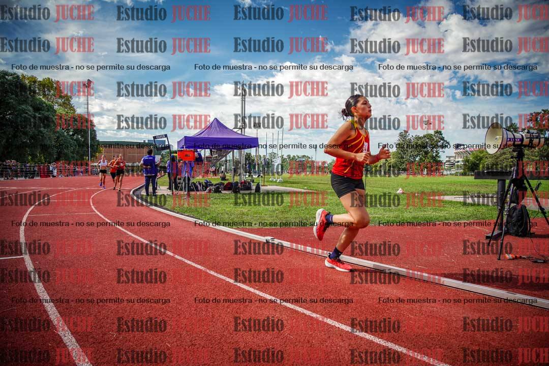 Fotos de los 800 m llanos de mujeres