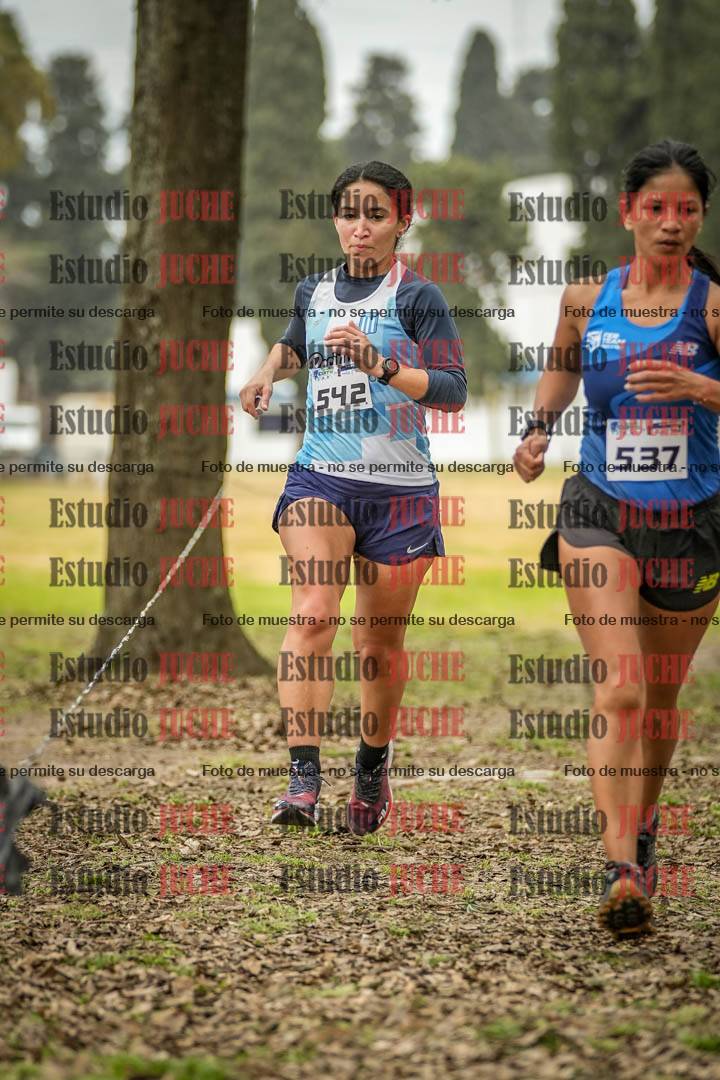 Fotos en el circuito