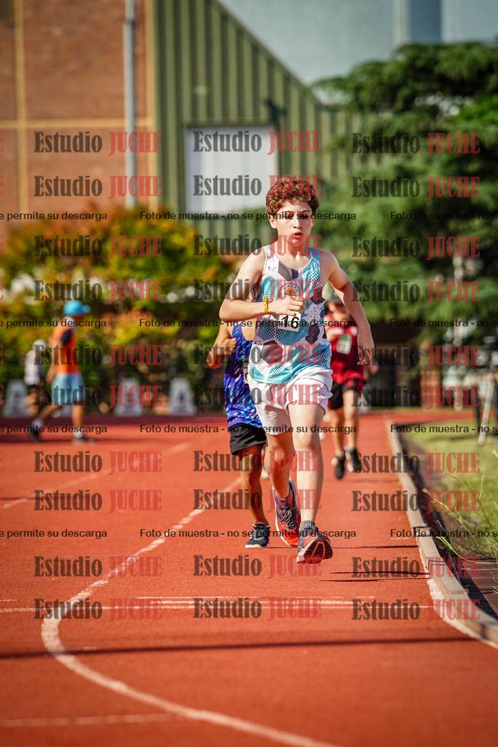 Fotos de los 1000 m llanos de varones