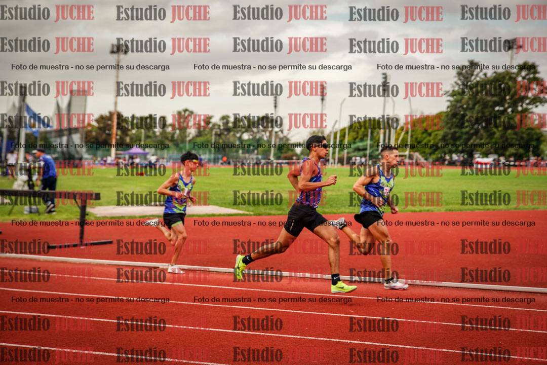Fotos de los 800 m de varones