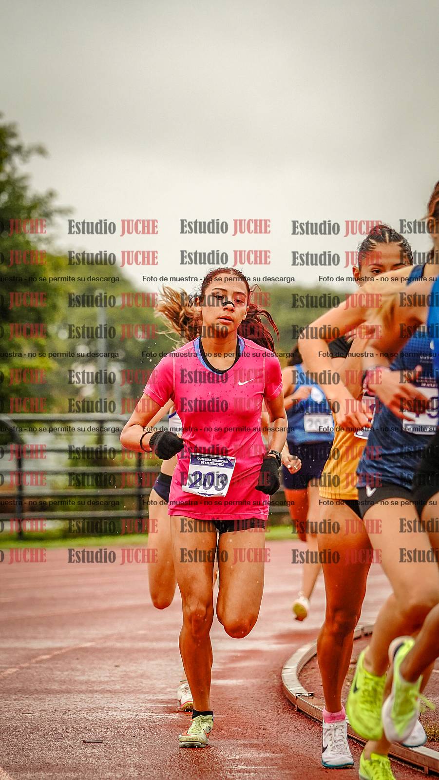 Fotos de los 1500 m llanos de mujeres
