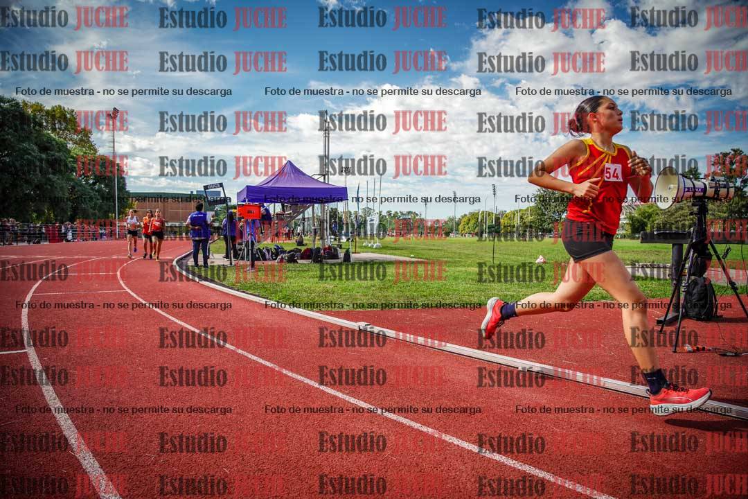 Fotos de los 800 m llanos de mujeres