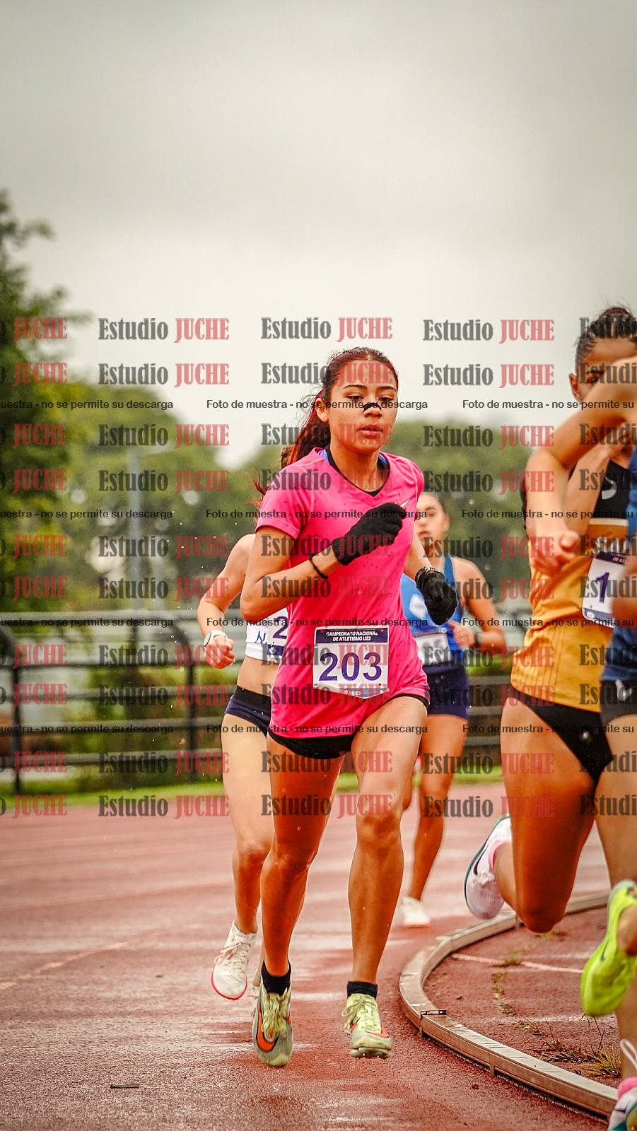 Fotos de los 1500 m llanos de mujeres
