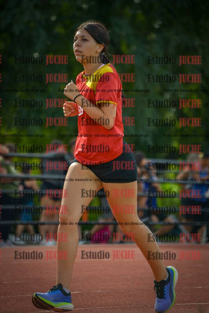 Fotos de los 800 m llanos de mujeres